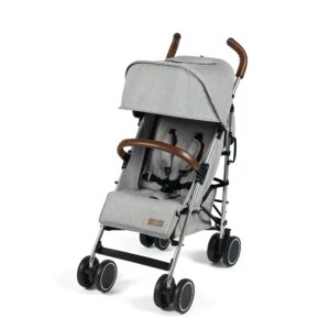Ickle bubba Discovery Stroller - Grey on Silver